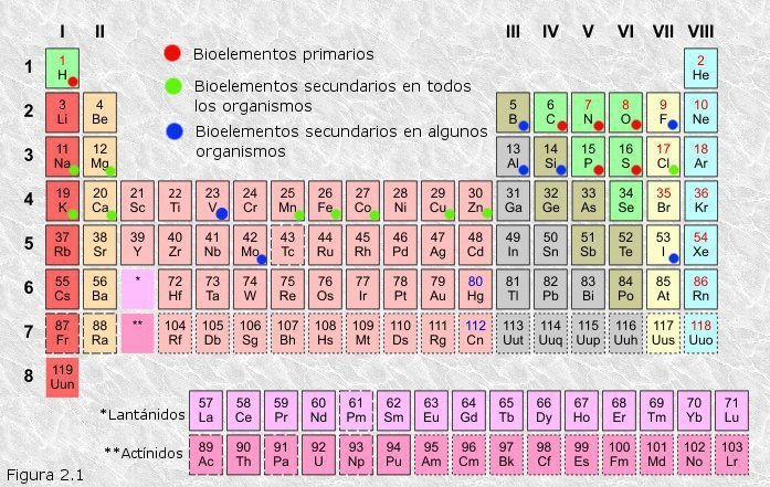 Bioelementos