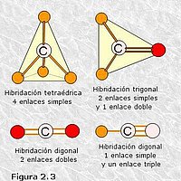 Orbitales del átomo de carbono