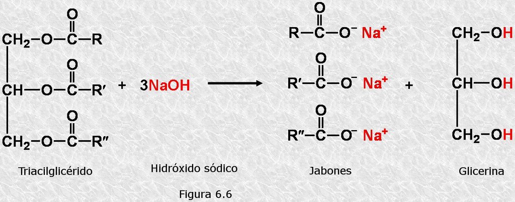 Reacción de saponificación