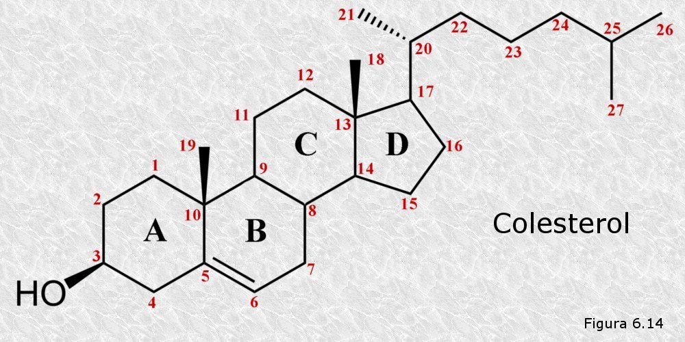 Colesterol
