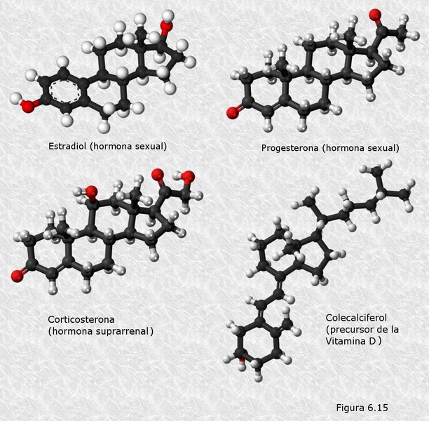 Derivados biológicos del colesterol