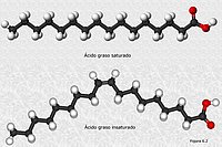 Ácidos grasos saturados e insaturados