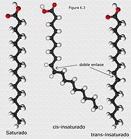Ácidos grasos cis y trans-insaturados