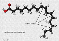 Ácido graso poliinsaturado