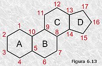 Ciclopentanoperhidrofenantreno