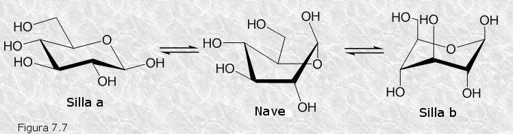 Conformaciones de la glucosa