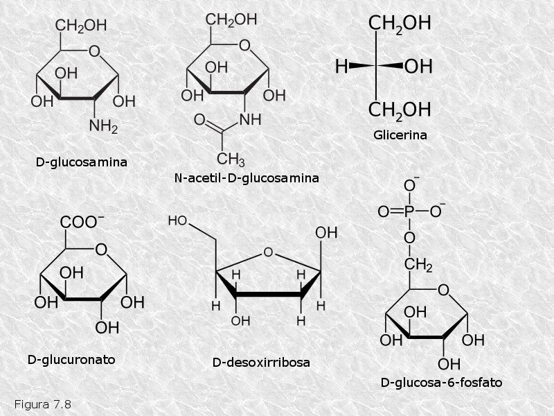 Derivados de los monosacáridos