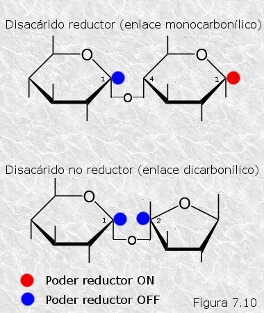 Tipos de enlace glicosídico