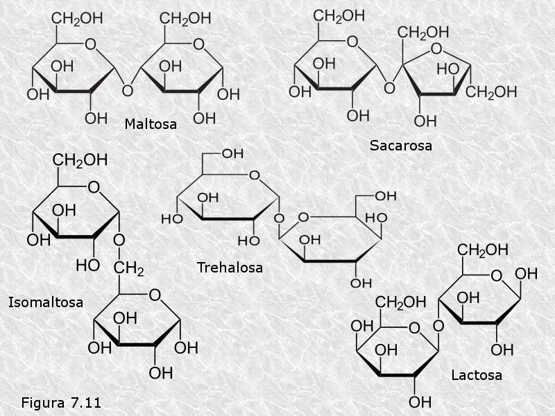 Disacáridos