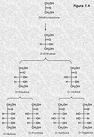 Series de monosacáridos