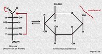 Ciclación de la glucosa