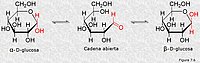 Formas anoméricas de la glucosa