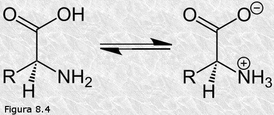 Aminoácidos: comportamiento ácido-base