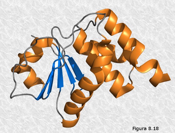 Estructura terciaria de las proteínas