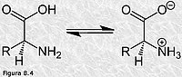 Aminoácidos: comportamiento ácido-base
