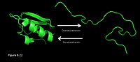 Desnaturalización de las proteínas