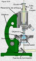 Microscopio ptico