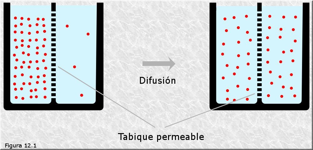 Difusión