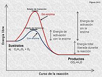 Cinética química