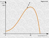 Efecto de la temperatura sobre la actividad enzimática