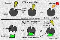 Inhibición no competitiva