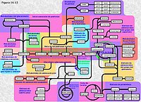 Panorámica del metabolismo