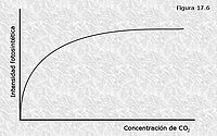 Factores que afectan a la fotosíntesis. El CO2