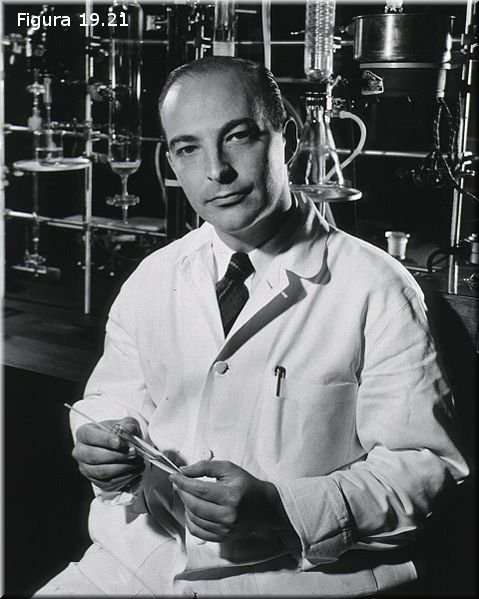 Arthur Kornberg