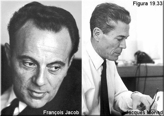 François Jacob y Jacques Monod