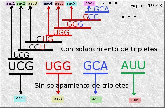 Código solapado vs. código no solapado