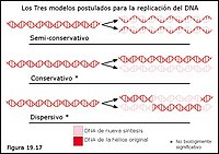 Modelos alternativos de replicación del DNA