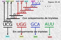 Código solapado vs. código no solapado