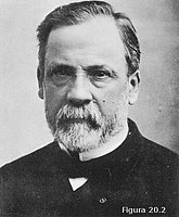 Louis Pasteur