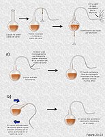 Los matraces de Pasteur