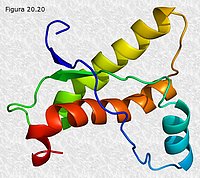 Proteína del prion (PrPc)