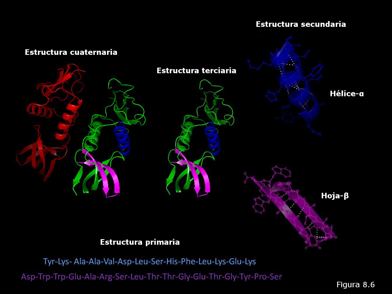 Proteínas