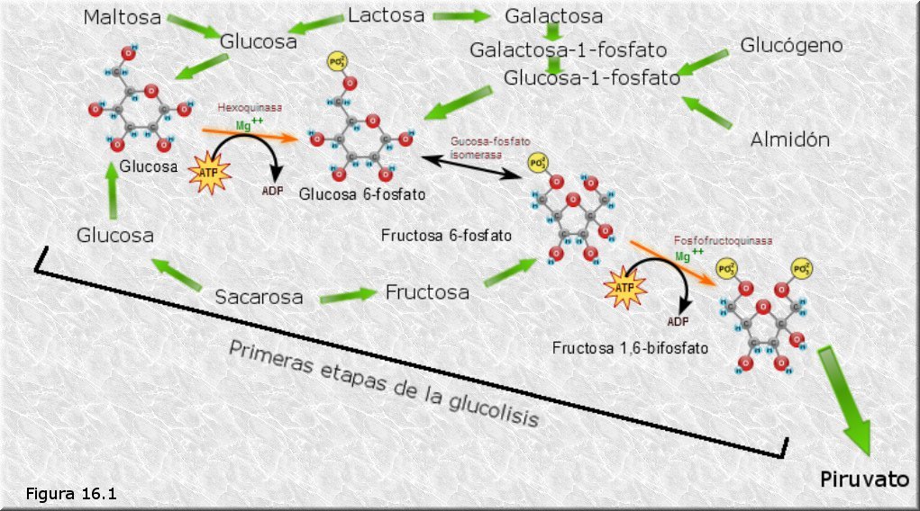 Rutas convergentes