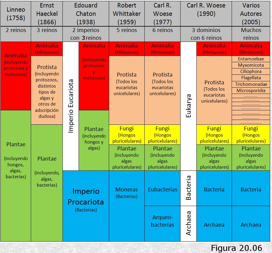 Resultado de imagen para CLASIFICACION SERES VIVOS DOMINIOS