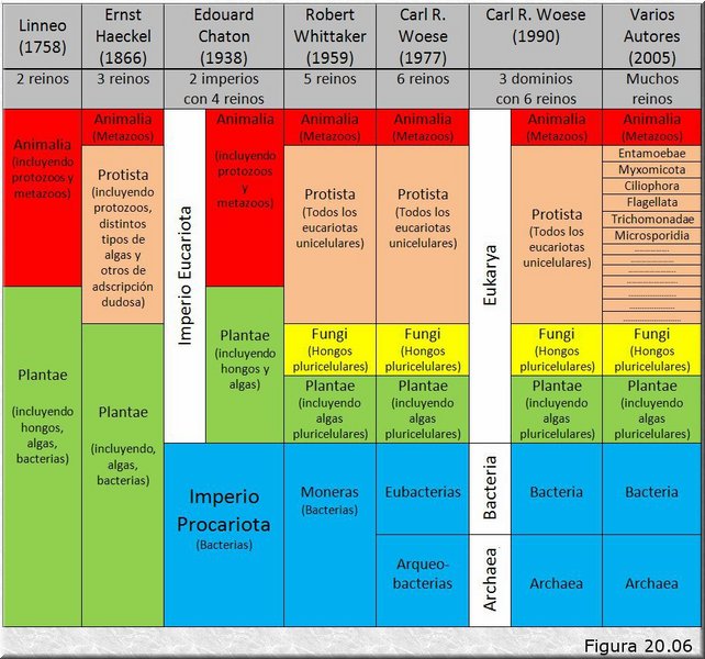 Evolución de la clasificación de los seres vivos.